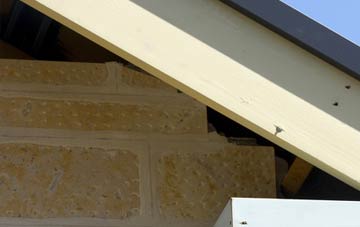 soffit repair Lyme Green